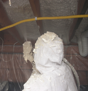 Baton Rouge Louisiana crawl space insulation